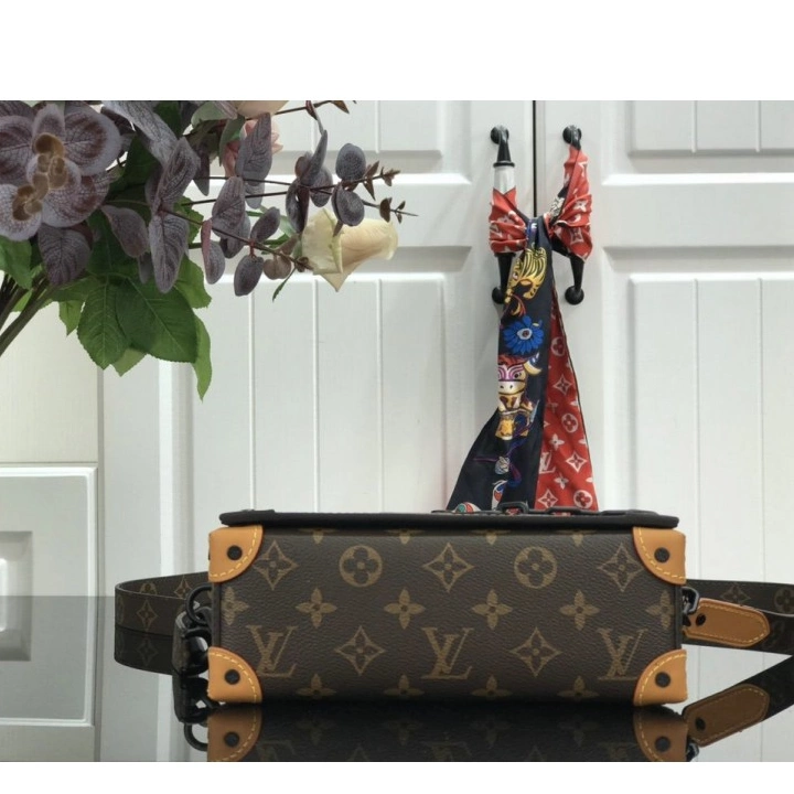 FASH Bags LOUIS VUITTON 205fy0079 0208