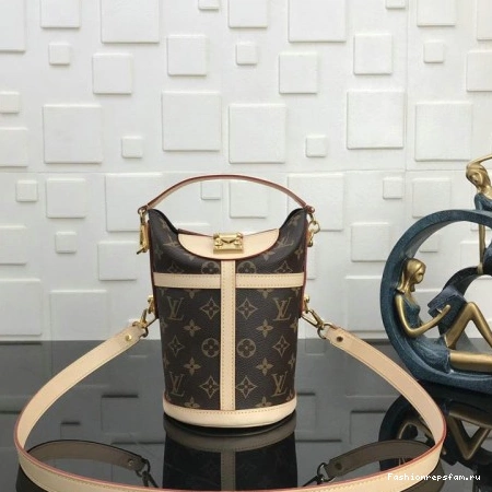 FASH LOUIS VUITTON Bags 19T1L0043 0315